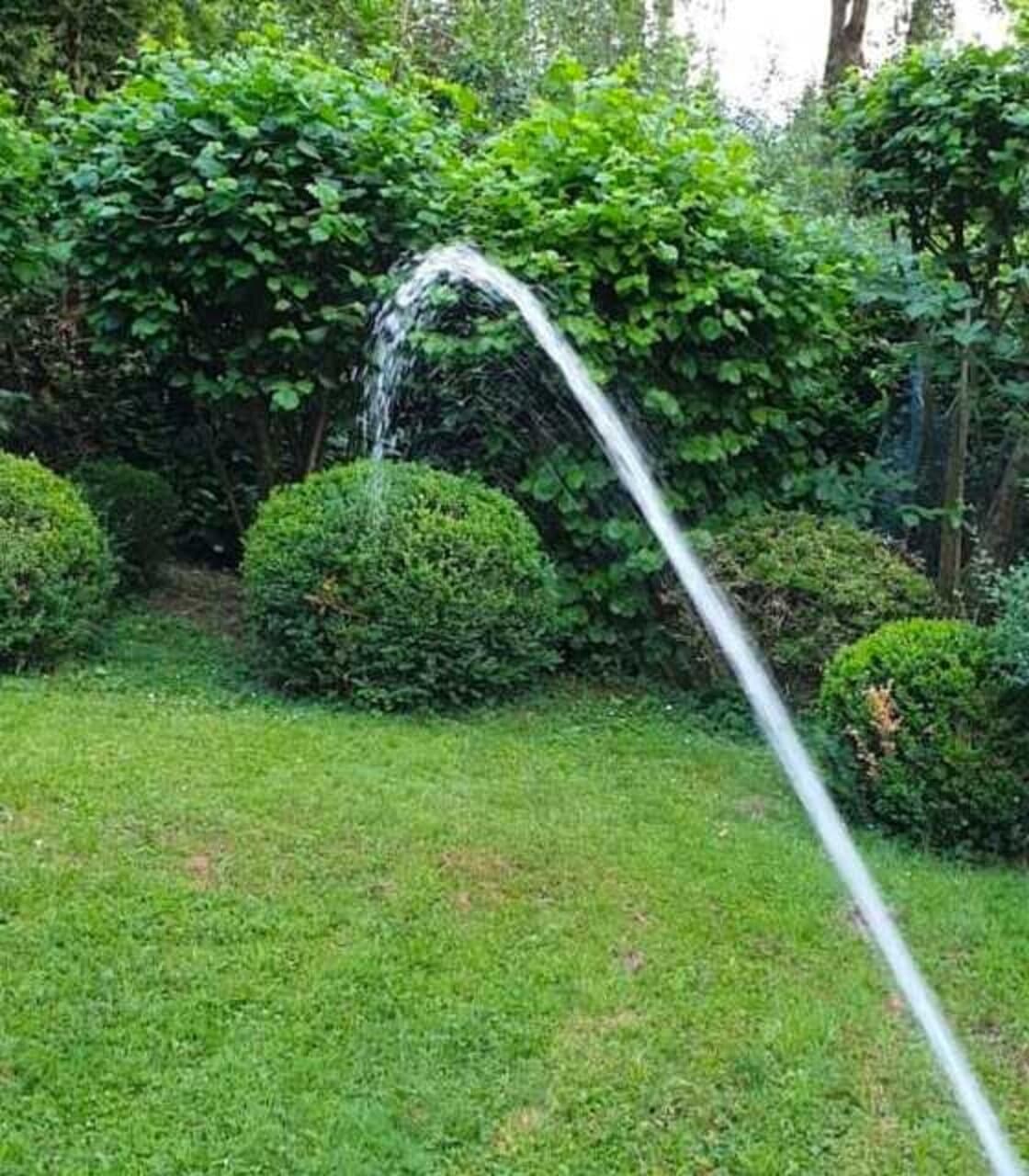 Gepflegter Garten mit kugelig geschnittenen Buchsbäumen, dichtem Strauchwerk und einem Wasserstrahl aus einem Gartenschlauch über dem Rasen
