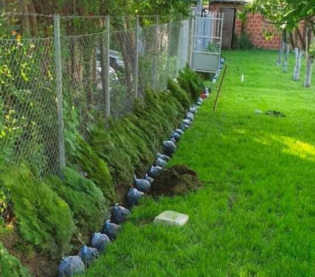 Grundstücksrand mit frisch geschnittener Hecke und aufgereihten gefüllten Grüngutsäcken entlang des Zauns